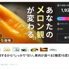 飯岡メロンのクラウドファンディングページ。応援購入総額1,928,855円（目標100,000円の1928%達成）、サポーター268人、終了済み。