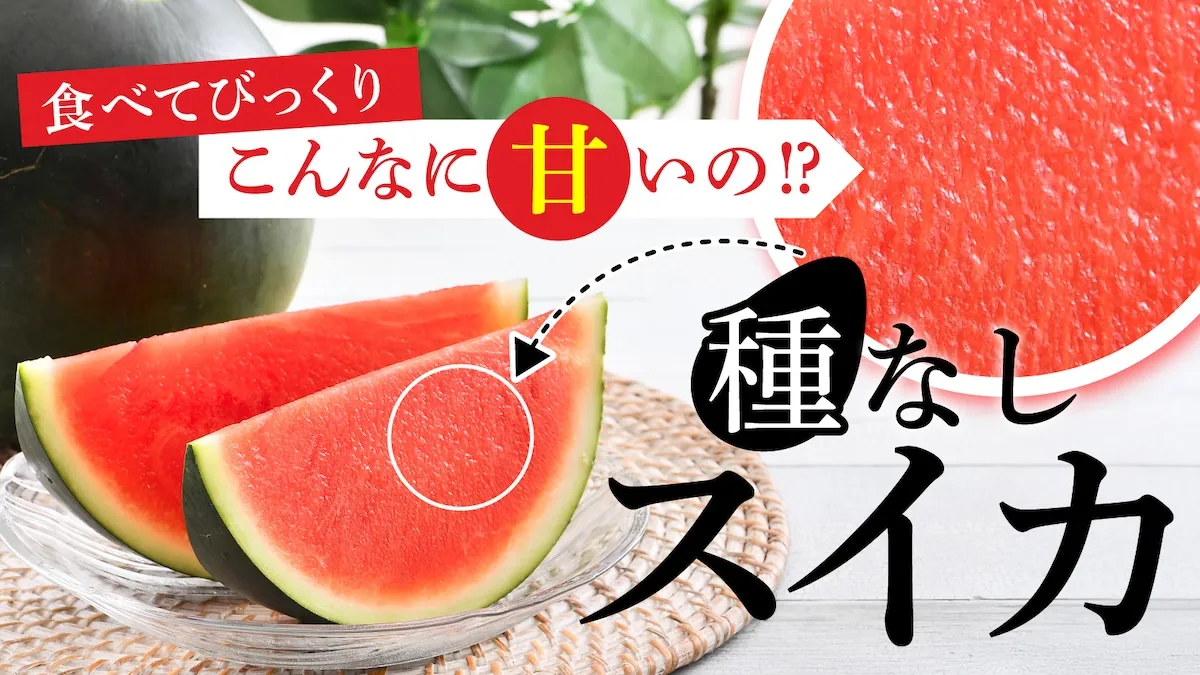 種なしスイカ サムネイル画像