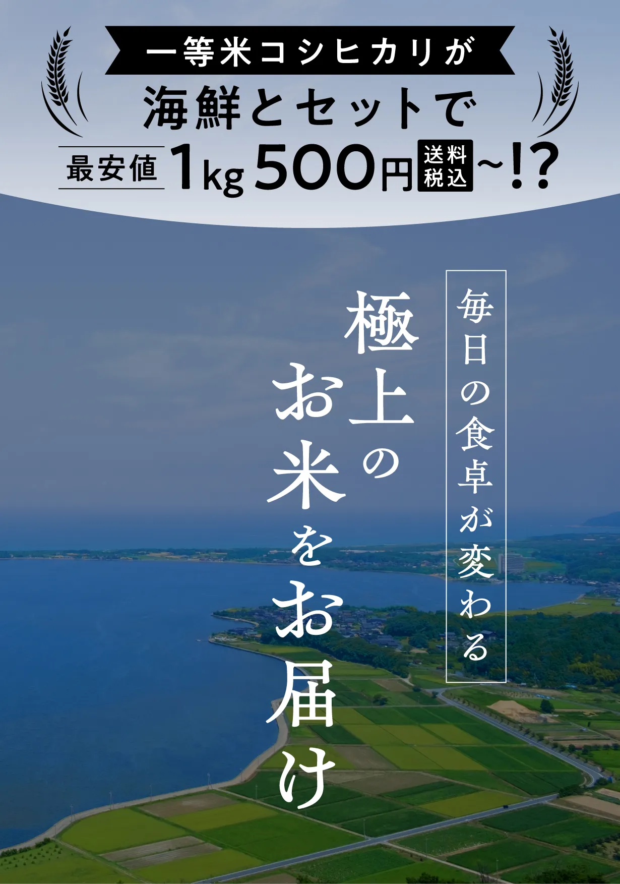 プロジェクト概要・価格訴求