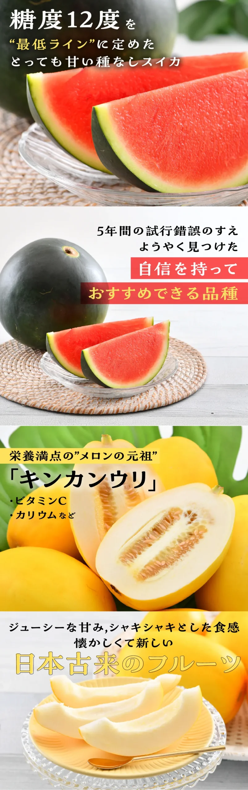 糖度・品種説明