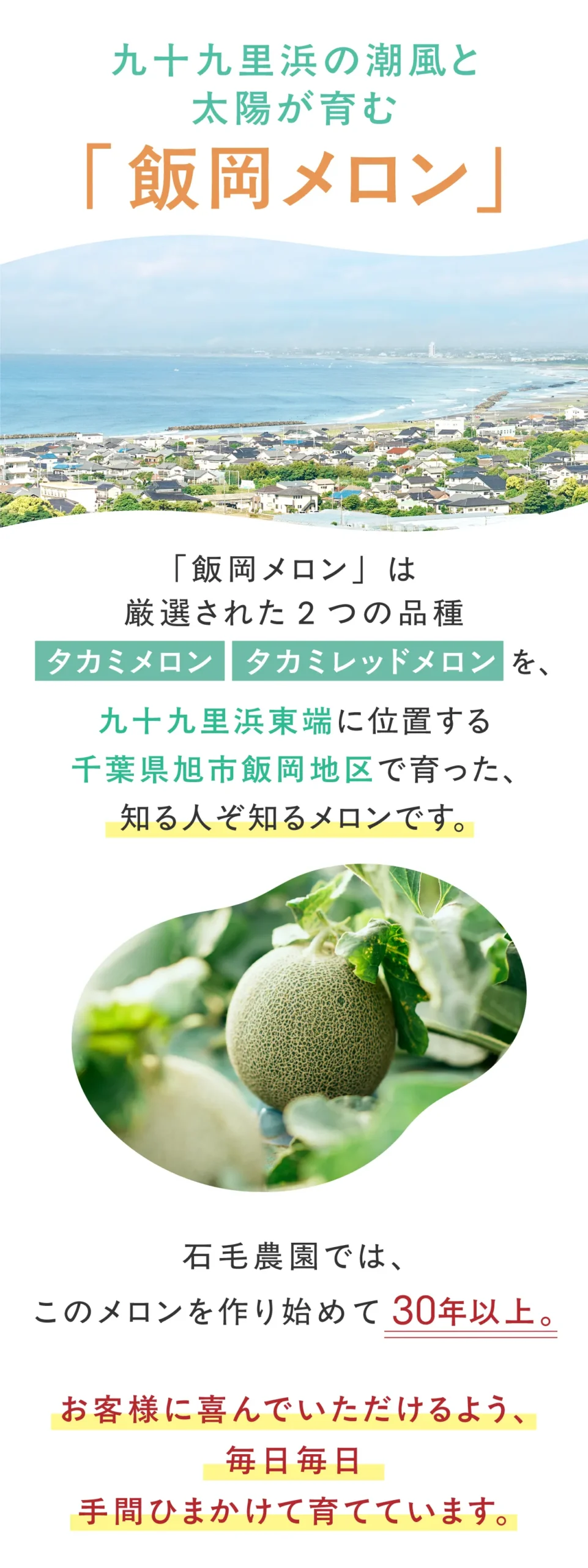 品種紹介