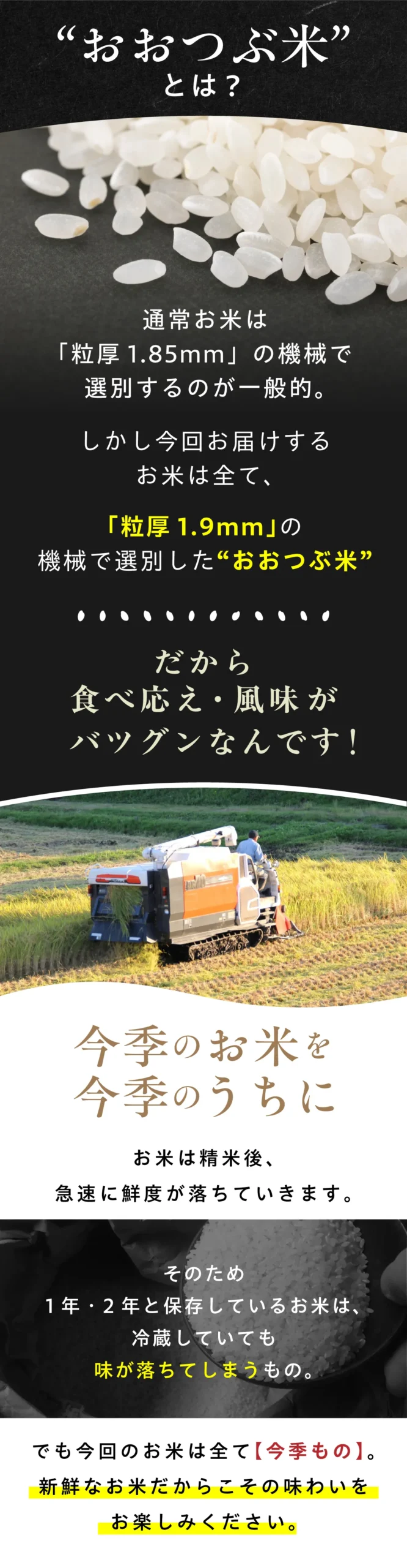 おおつぶ米とは・鮮度へのこだわり